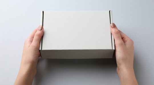 présentoir en carton.jpg